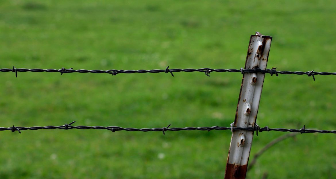 Expensive Fence Barbed Wire in Russia