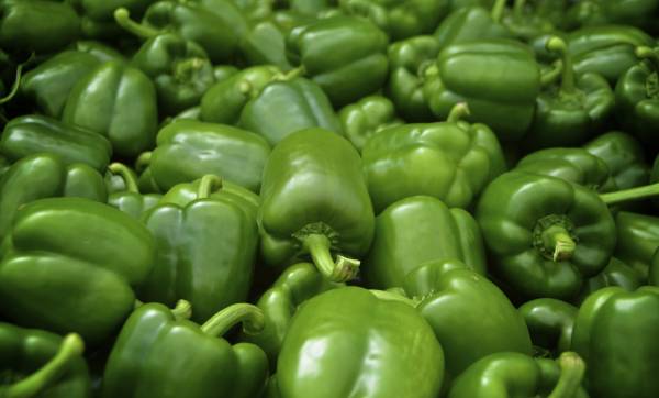 Today Pepper in Karnataka Causes Muscle Pain